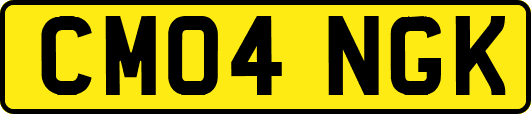 CM04NGK