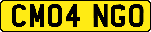 CM04NGO