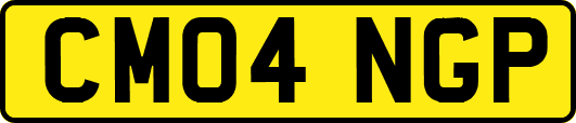 CM04NGP