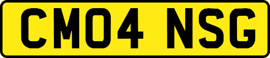 CM04NSG