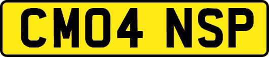 CM04NSP