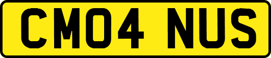 CM04NUS