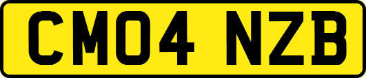 CM04NZB