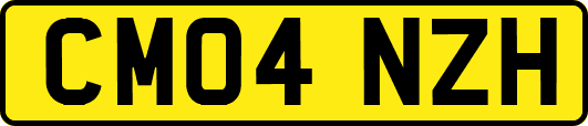 CM04NZH
