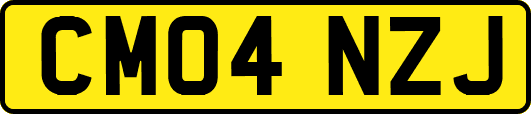 CM04NZJ