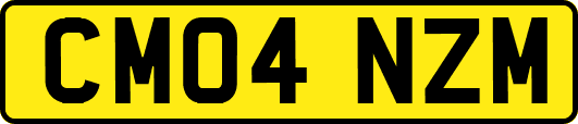 CM04NZM