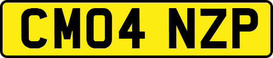 CM04NZP