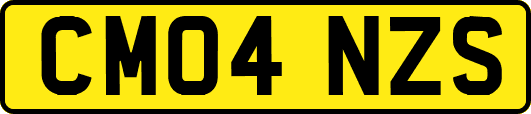CM04NZS