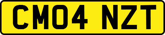 CM04NZT