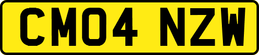 CM04NZW