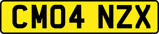 CM04NZX