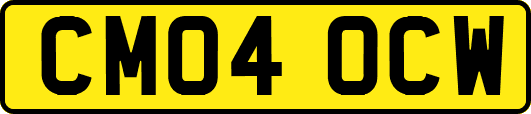 CM04OCW