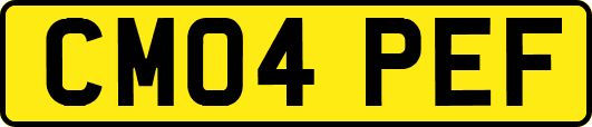 CM04PEF