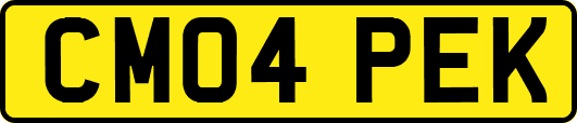 CM04PEK