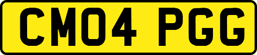 CM04PGG