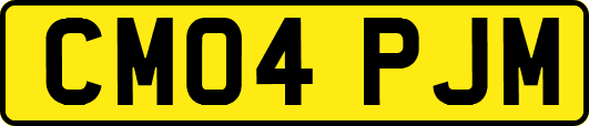 CM04PJM