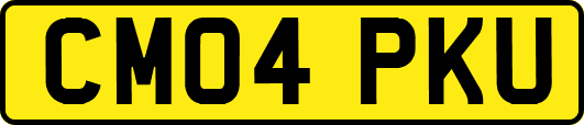 CM04PKU