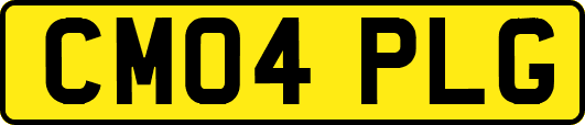CM04PLG