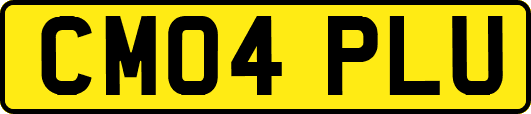 CM04PLU