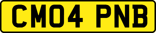 CM04PNB