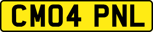 CM04PNL