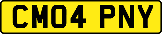 CM04PNY
