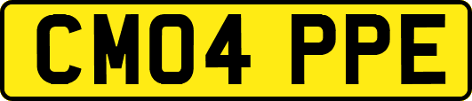 CM04PPE