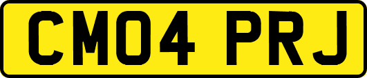 CM04PRJ