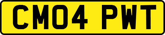 CM04PWT