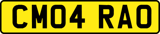 CM04RAO