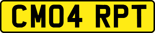 CM04RPT