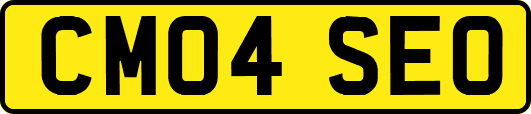 CM04SEO