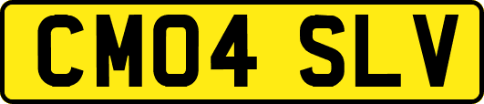 CM04SLV