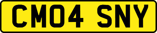 CM04SNY