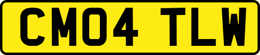 CM04TLW