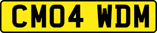 CM04WDM