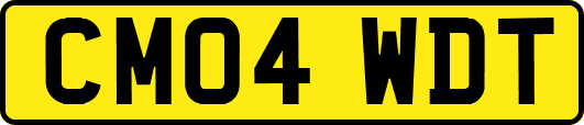 CM04WDT