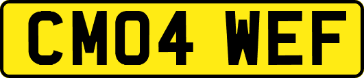 CM04WEF
