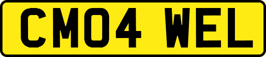 CM04WEL