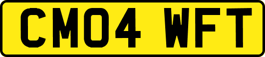CM04WFT