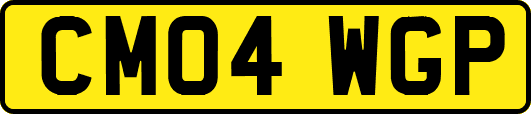 CM04WGP