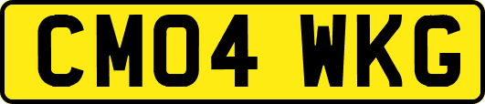 CM04WKG