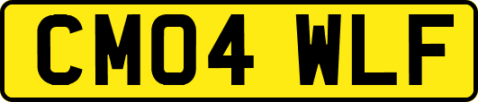 CM04WLF