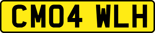 CM04WLH