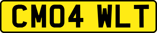 CM04WLT