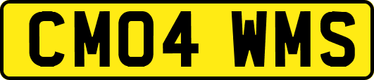 CM04WMS