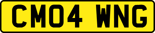 CM04WNG