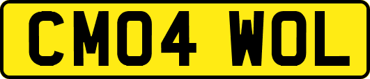 CM04WOL