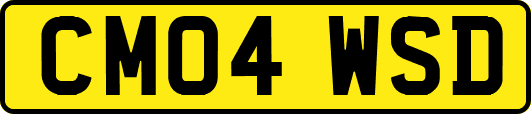 CM04WSD