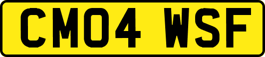 CM04WSF